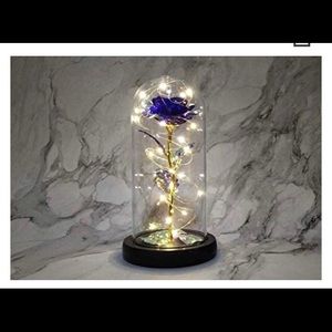 Beauty & the Beast Glass incased Rose